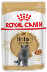 Влажный корм для взрослых кошек породы британская короткошерстная Royal Canin British Shorthair