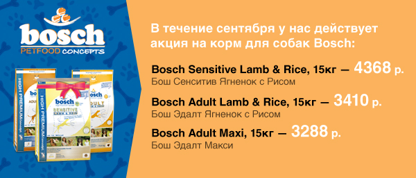 http://www.magazindoberman.ru/assets/banners/banner3-891de22917434d657daa2be232d99382.jpg