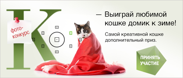 Konkurs yjutnij koshkin domik