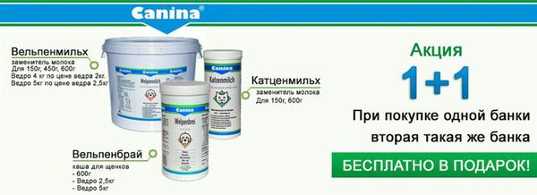  dcf66befee530dcd51c6e1478f3de3398960941af79408f105 pimgpsh fullsize distr