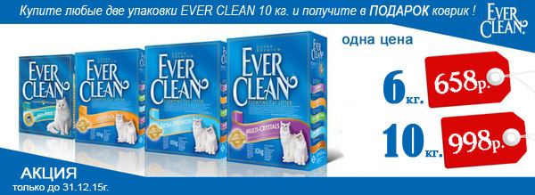 Clean sale 2015