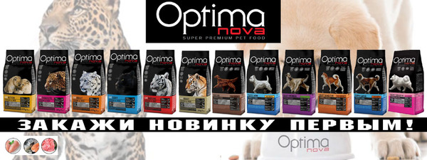 Optinova1