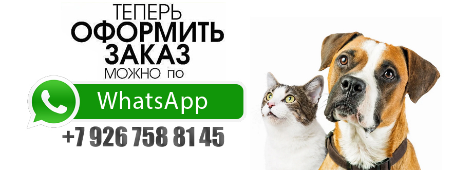 Оформить заказ через WhatsApp