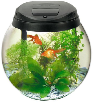 Аквариум для рыб Aquael Bowlset Li 30, крышка со светильником 5 Вт, фильтр Fan Micro plus, черный, 13 л