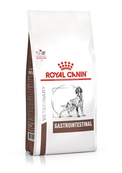 Gastrointestinal dog t