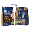 Brit adult medium m