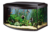 Стеклянный аквариум для рыб Cayman 110 Scenic, черный, 300 л