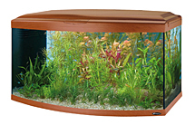 Стеклянный аквариум для рыб Cayman 110 Scenic вишня, 300 л
