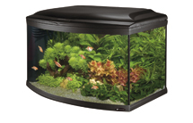 Стеклянный аквариум для рыб Cayman 80 Scenic, черный, 150 л