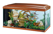 Стеклянный аквариум для рыб Cayman 110 вишня, 230 л