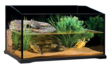 Террариум стеклянный для черепах Exo Terra 60 х 45 х 35 см