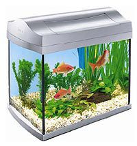Аквариум для рыб Tetra Aquaart Goldfish, лампа 8 Вт, фильтр Easycrystal с 2-мя картриджами, tetraanimin 100мл, aquasafe 100 мл для золотых рыб, инструкция, 20 л