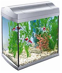 Аквариум для рыб Tetra Aquaart Goldfish Discover Line, лампа Т5 8 Вт 