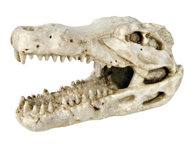 Грот для аквариума Trixie Череп крокодила 8 см