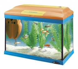 Стеклянный аквариум для рыб Cayman 40 Colours цветной, 21 л
