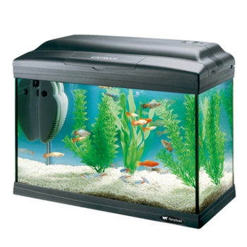 Стеклянный аквариум для рыб Cayman 40 Classic черный, 21 л