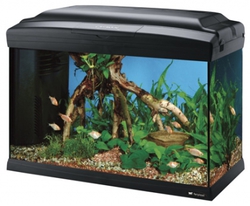 Стеклянный аквариум Cayman 50 Professional черный, 40 л