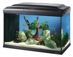 Стеклянный аквариум для рыб Cayman 60 Professional черный, 75 л