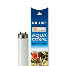 Лампа для аквариумов Philips Aquacoral18w T8, 60 см