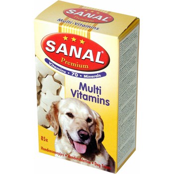 Витамины и пищевые добавки для взрослых собак Sanal Multivitamins Премиум 100 г