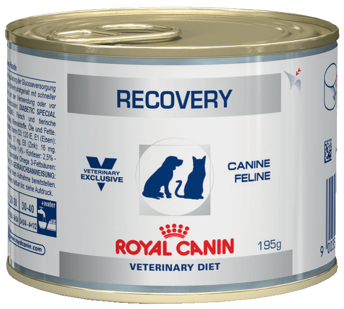 Корма для кошек операция. Royal Canin Recovery для кошек. Роял Канин рекавери для собак консервы. Роял Канин для кошек рекавери консервы. Паштет Роял Канин рекавери для кошек.