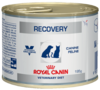 Recovery