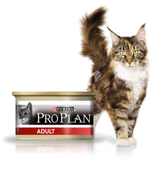 Консервированный корм для взрослых кошек Pro Plan Adult с курицей 85 г 85 гр