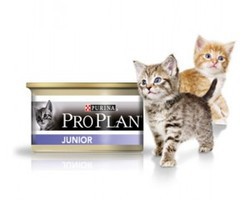 Консервированный корм для котят Pro Plan Kitten с курицей 85 г 85 гр