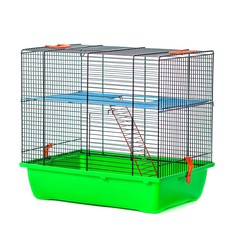 Клетка для грызунов Inter Zoo TEDDY LUX I (GINO I Color) + металлический этаж и лесенка 420х290х380 (цветной прут)