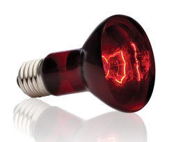 Лампа инфракрасного света  для террариумов Exo Terra Heat Glo 50Вт