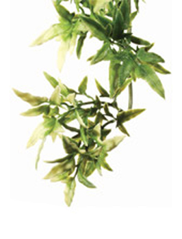 Растение для террариума Exo Terra Jungle Plants кротон, 45 х 13 см