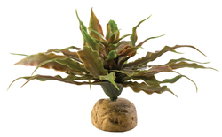 Растение для террариума Exo Terra Jungle Plants кактус-звезда