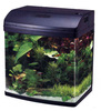 Product 11575 full