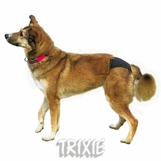 Штанишки для собак Trixie Lux, 32-39 см