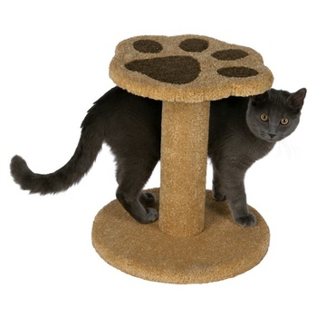 Когтеточка для кошек Trixie David 39 см, ковровое покрытие