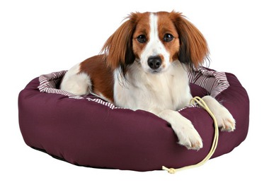Лежак для собак Trixie Wilson, 62 см