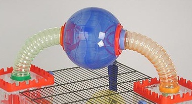 Игрушка для грызунов Fop Run Wheel шар беговой, цветной на подставке