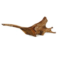 Коряга натуральная, мангровая MANGRO L. Длина коряги: 40 - 60 см.