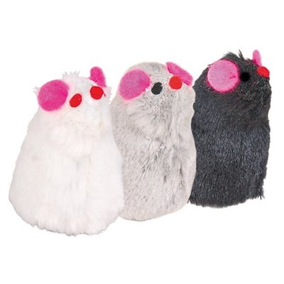 Product 14726 short.500x400