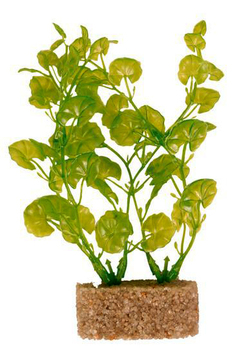 Набор растений для аквариума Trixie 20 см, 6 шт