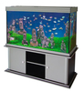 Product 17248 full
