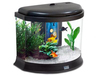 Product 17253 full