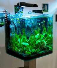 Аквариум для растений Hagen Fluval Flora 30 л