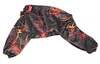 Product 18947 short.800x600w