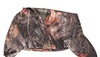 Product 18955 short.800x600w
