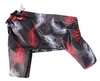 Product 18970 short.800x600w