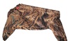 Product 18997 short.800x600w