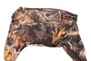 Product 19001 short.800x600w