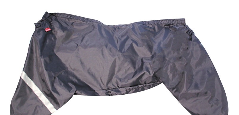 Product 19004 short.800x600w