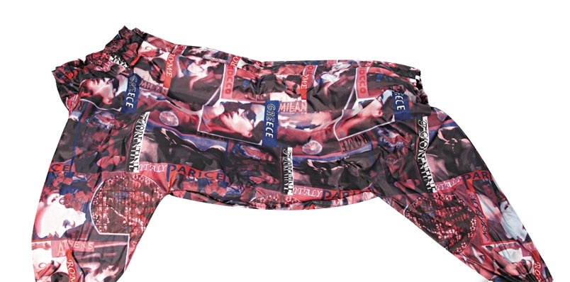 Product 19006 short.800x600w
